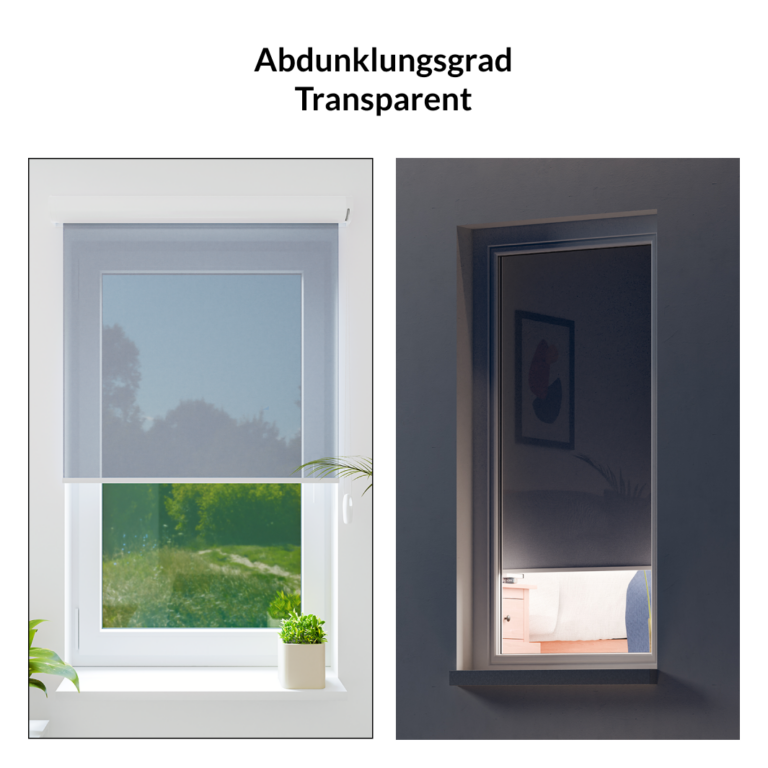 rollo-gallery-transparent-768x768
